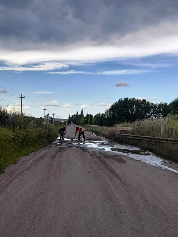 Foto
