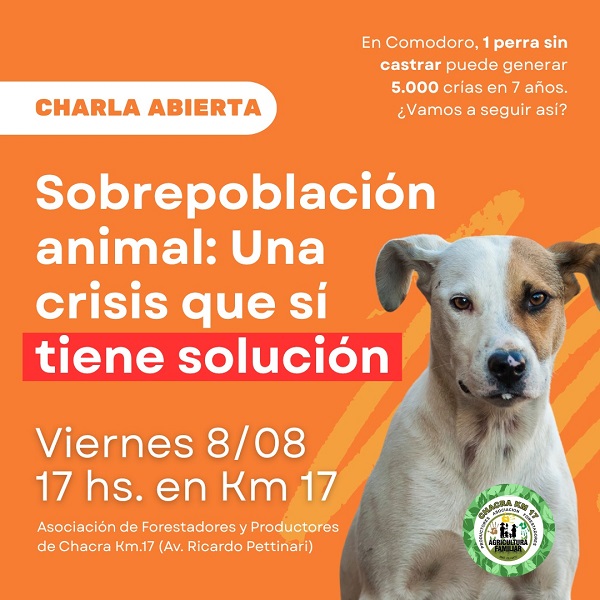 Imagen Noticia